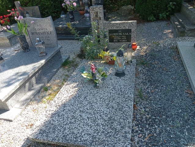 Grób Ludwik Sala